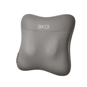SKG VS500